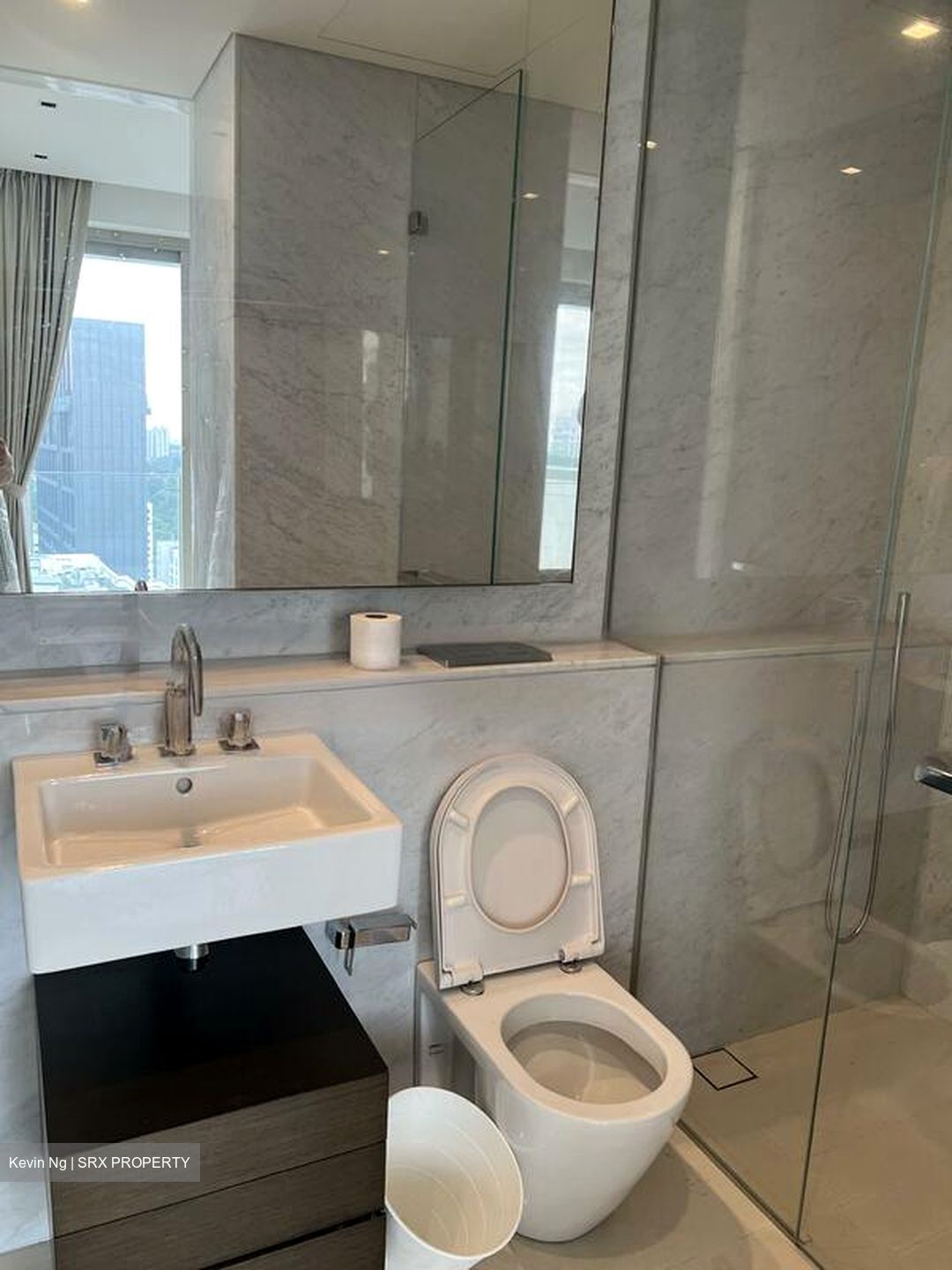 Scotts Square (D9), Apartment #448114801